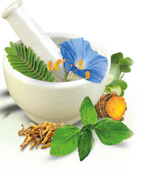 SHUDH GUGGULU CAPSULE