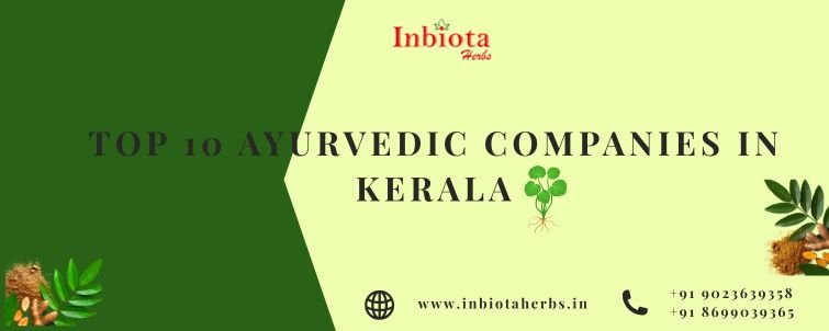 Top 10 Ayurvedic Companies In Kerala
