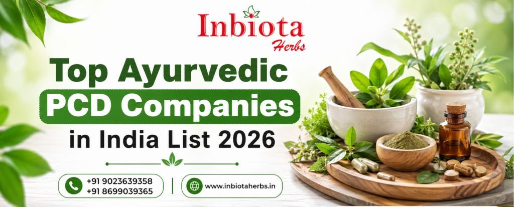 Top Ayurvedic Pcd Companies In India List 2026 1024X413
